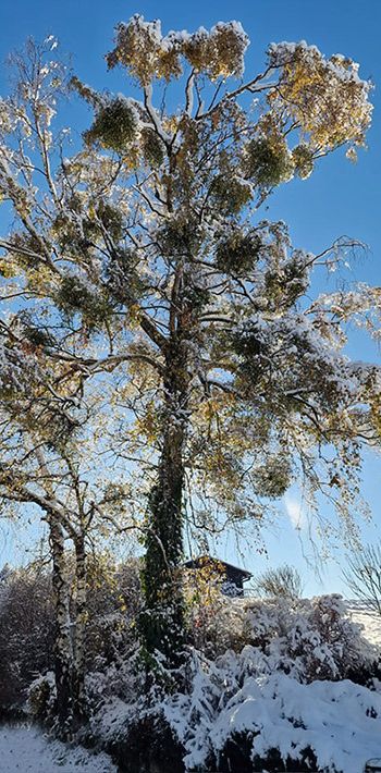 33131916 3596 4207 911dac47030be3