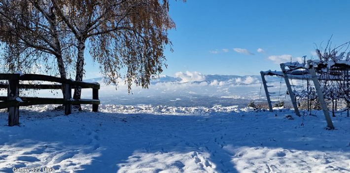 eb40d08f 2279 4df2 9453cf99cfa523